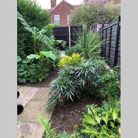 Beautiful Two Bed Victorian Terrace House Villa Norwich Eksteriør bilde