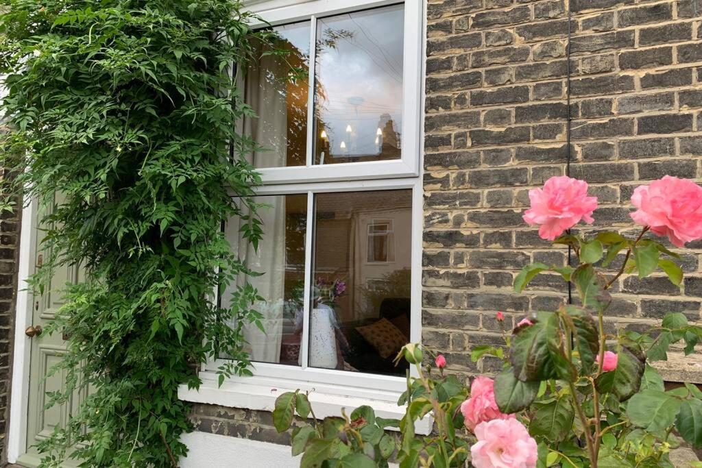 Beautiful Two Bed Victorian Terrace House Villa Norwich Eksteriør bilde